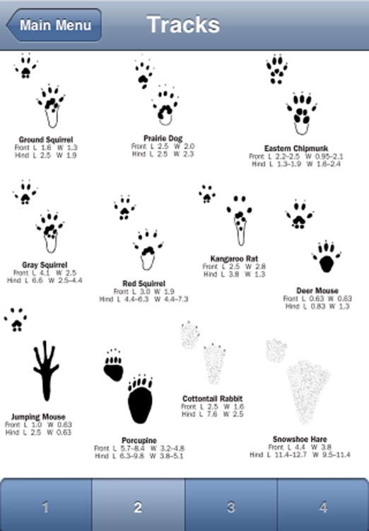 Mammals of North America screenshot-3