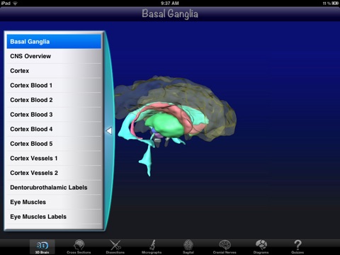 Anatomy Of The Brain 2D/3D screenshot 2