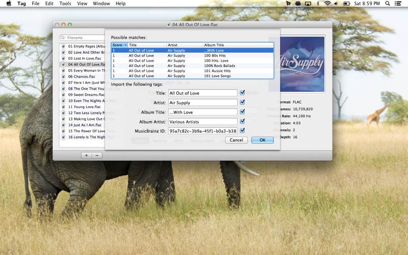 Tag Screenshot