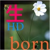 LifeCycle: Born_HD