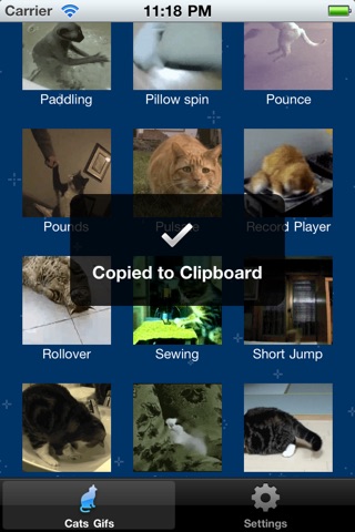 Cat Gif Texter screenshot 2