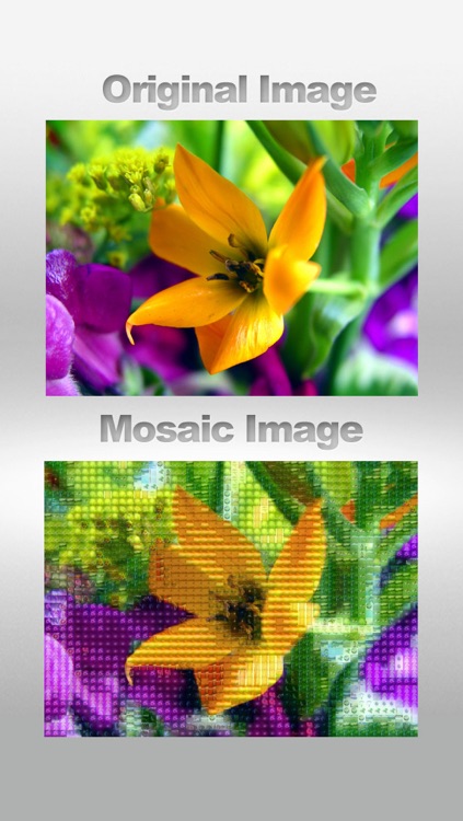 InstaMosaic - Photo Mosaic Generator screenshot-3