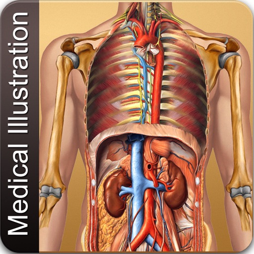 Illustrated Medical Dictionary