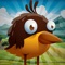 Baby bird runner is a fun running game for the entire family