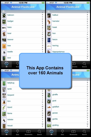Animal Flashcard screenshot 4