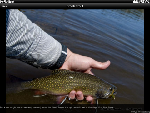 Screenshot #5 pour MyFishBook