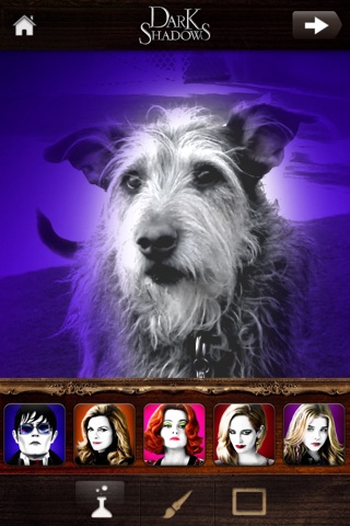 Dark Shadows: Photo Filter App screenshot 2