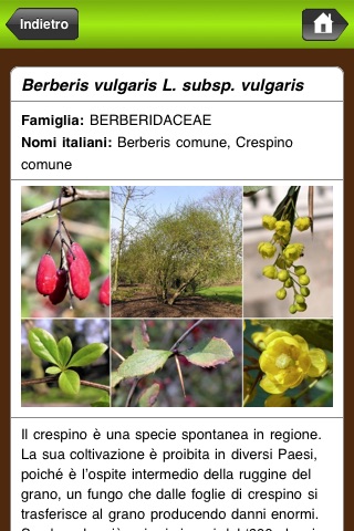 Caccia al tesoro botanica in Val Rosandra screenshot 4