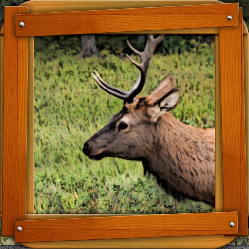 Reindeer Rescue Lite icon