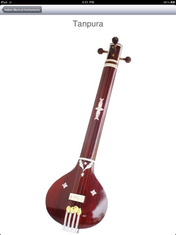 Indian Musical Instruments HD screenshot 2