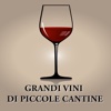 Grandi vini di piccole cantine