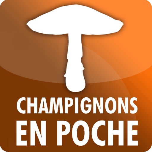 Champignons en poche