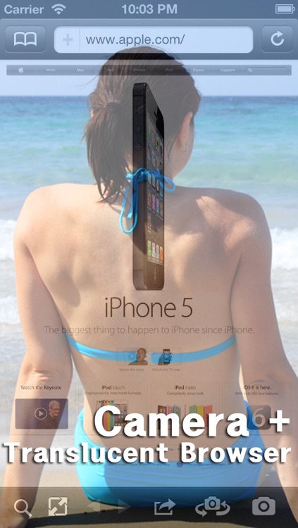 Camera Browser