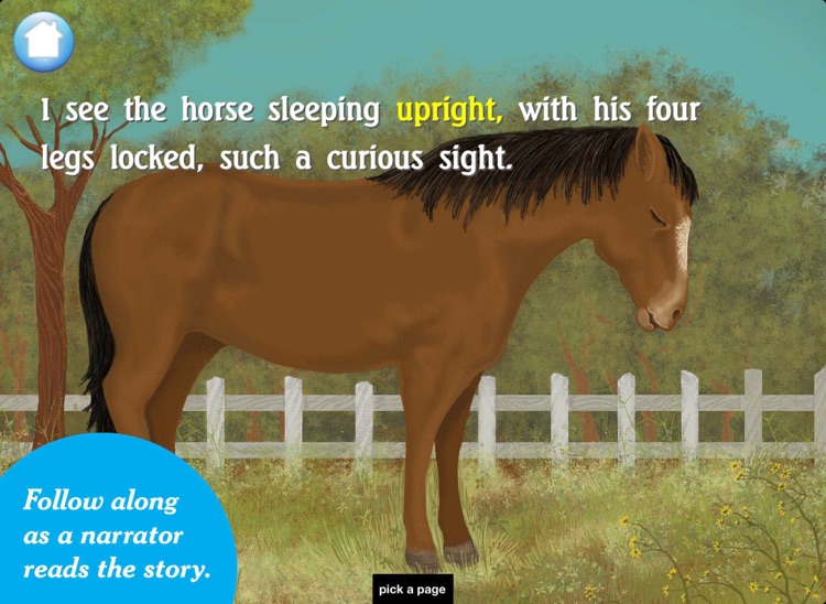 I See the Animals Sleeping: A Bedtime Story