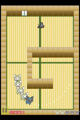 Game screenshot Ninja Cat Ranger apk