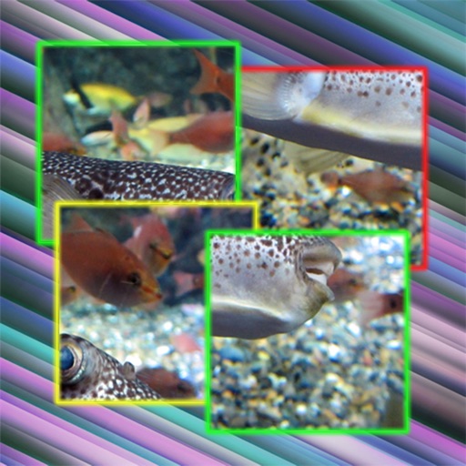 Azzle - Image puzzle