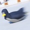 Defend your island by competing in exciting downhill penguin races in this fun and challenging racing game from WaveCrest Entertainment