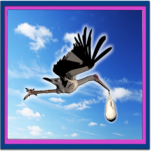 Stork Delivery icon