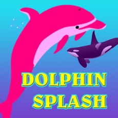 Activities of Dolphin Splash