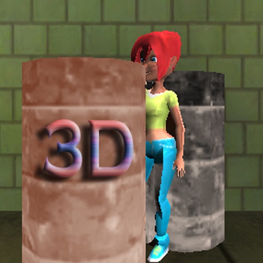 Hide N Seek 3D