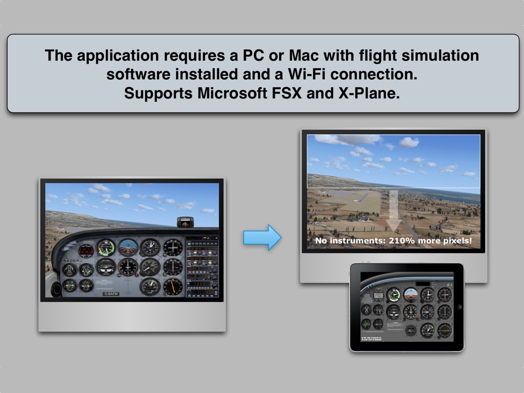 FSi C172 Free screenshot 3