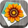 Flowerly icône