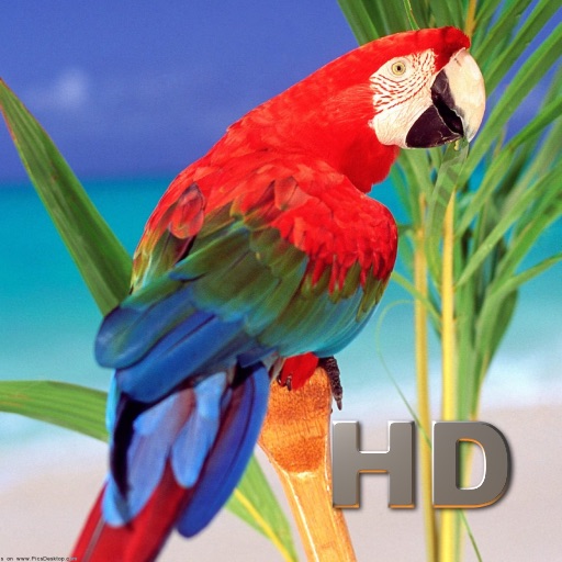 Parrot Encyclopedia HD