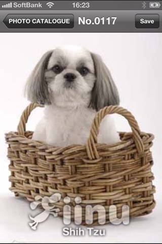 Look!Shihtzu screenshot 3