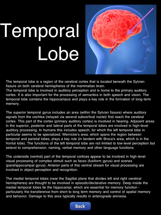 The Body HD - Human Anatomy Learning Tool & Quiz