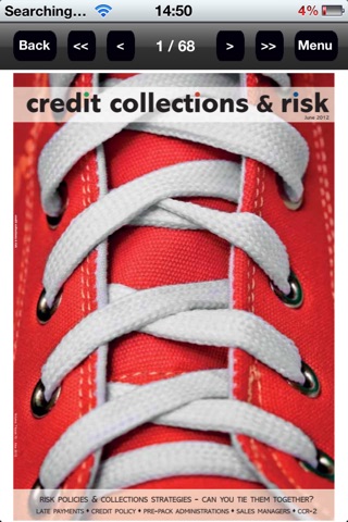 Credit Collections & Risk screenshot 2