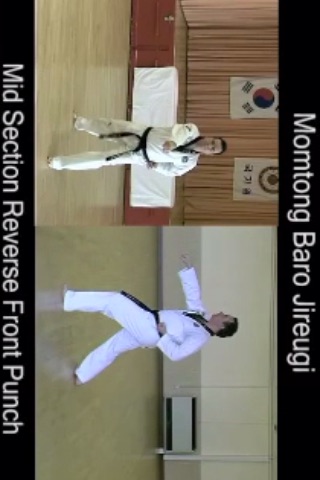 Taekwondo Strikes screenshot 3