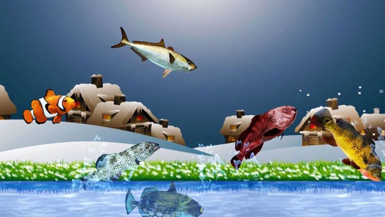 Ninja fish deals