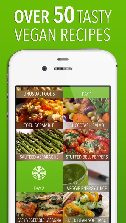 Vegan Meal Plan