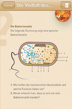 Study Biology – Flashcards(圖4)-速報App