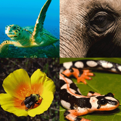 Species on the Edge iOS App