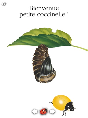 La coccinelle screenshot 2