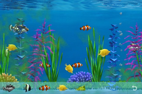 Colorful Aquarium Lite screenshot 4