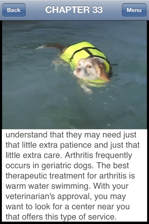 Dog Training