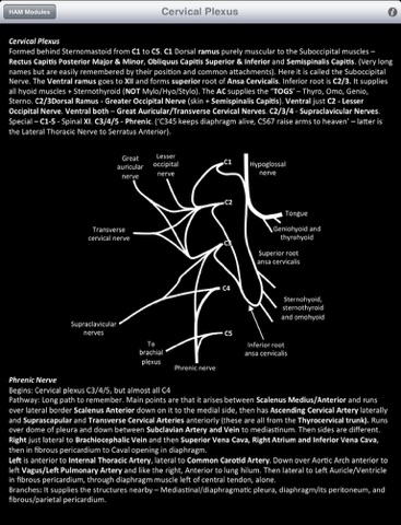 HAM Anatomy screenshot 3