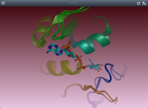 PyMOL screenshot 2