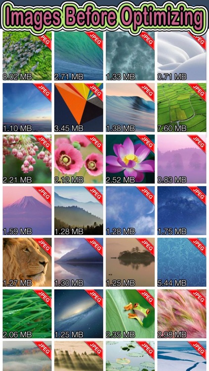 Shrink My Pictures - Reduce Image Size Without Resizing