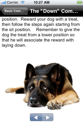 Puppy & Dog Trainer screenshot 3