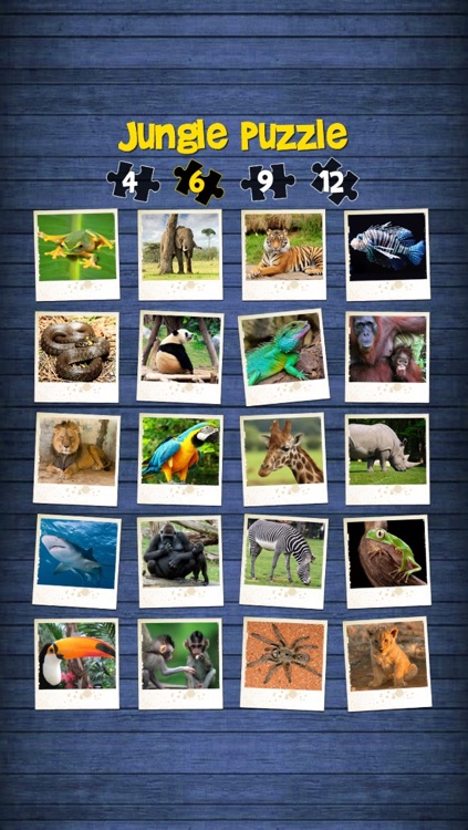 Jungle puzzle - jigsaw puzzle for kids