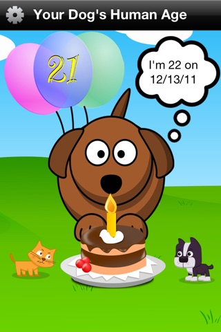 Pet Birthdays screenshot 4
