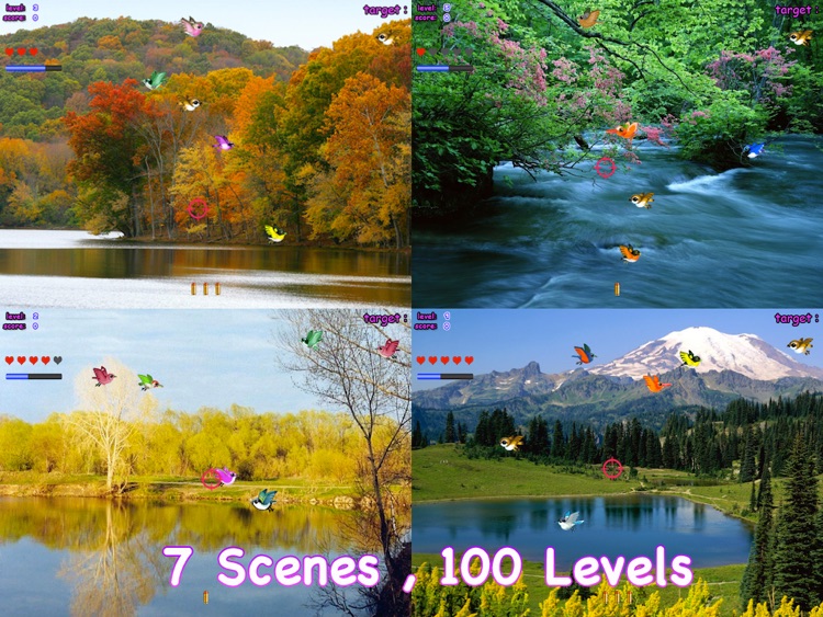 A Bird Hunt HD screenshot-3