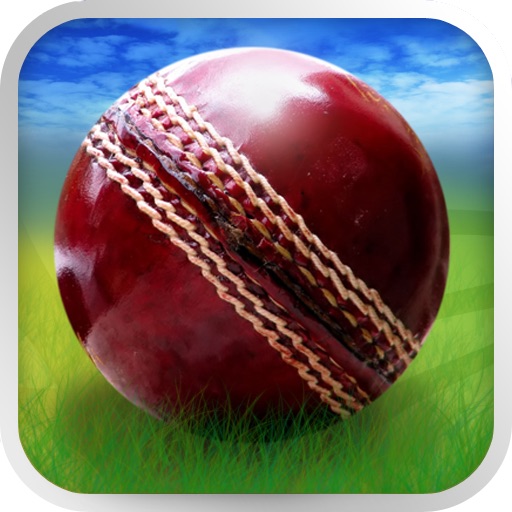 Cricket WorldCup Fever Deluxe icon