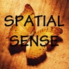 SpatialSense