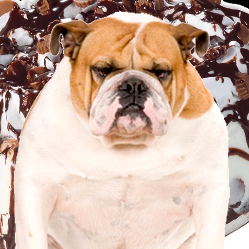 A Talking Fat Dog for iPhone! iOS App