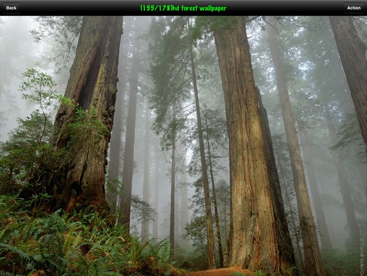 Photo Gallery Lite HD