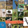 Animal Quiz®